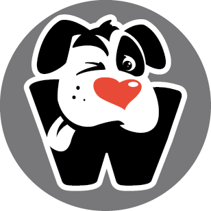 Training and marketing rescue/shelter dogs to increase their chances of adoption.