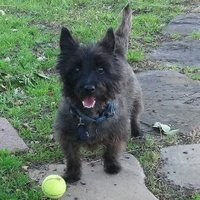 Harry K Maynard (@harrydiscovers) 's Twitter Profile