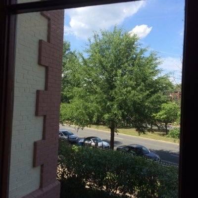 sunshineacctnt's profile picture.