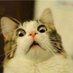 B (Mastodon @CurrentlyCranky@mindly.social) (@currentlycranky) Twitter profile photo B (Mastodon @CurrentlyCranky@mindly.social) (@currentlycranky) Twitter profile photo