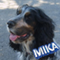 TTel20 (@ttel20) 's Twitter Profile Photo