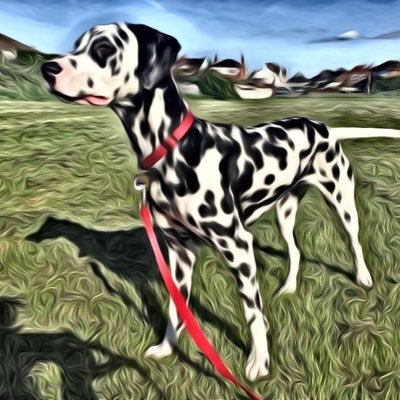 AdamsNic's profile picture. 