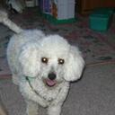 Melissa Corry - @MelissaCorry - Twitter