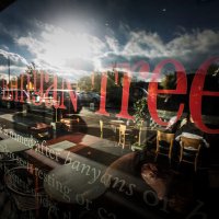 The Banyan Tree (@banyantreemcr) 's Twitter Profile