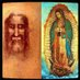 1Timothy3:15 (@douayrheims) Twitter profile photo 1Timothy3:15 (@douayrheims) Twitter profile photo
