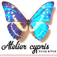 アトリエキプリス-Atelier cypris-(@Atelier_cypris) 's Twitter Profile Photo