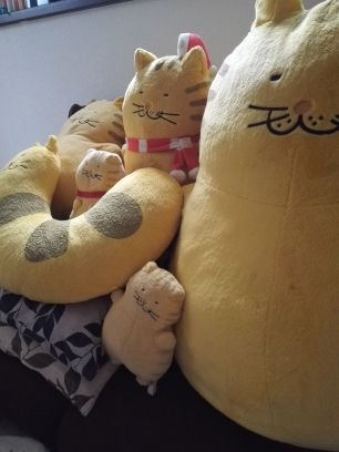 でぶねこ広め隊(非公式)隊員ニャ!
Twitter……まだまだ理解していない部分もありますが、どうぞよろしく~