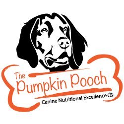 The Pumpkin Pooch