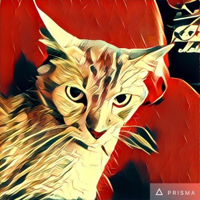 猫二匹飼ってます。政治、経済、時事ネタ、PC関連、情報通信業関連、旬のスポーツ、音楽全般、車、お酒、レストラン、演劇、ミュージカル、などに興味あります。