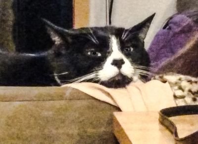 robertfairless7's profile picture. 