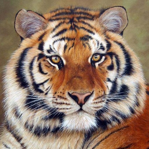 lao_y's profile picture. 