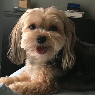 dbh3782's profile picture. 