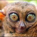 Floyd Larck - @KK3Q - Twitter