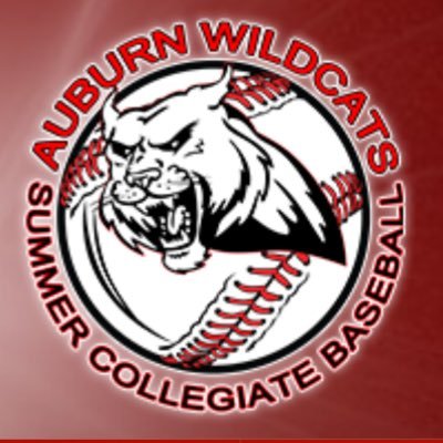 Auburn Wildcats