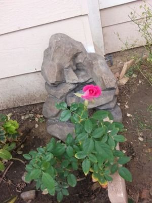 Barristakakalik's profile picture. Fitness Fitness Fitness Music Sports NFL