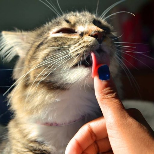 TeRompoElCulo26's profile picture. 