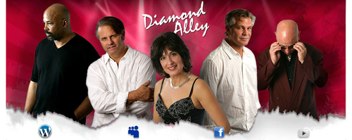 DiamondAlley's profile picture. DC party band