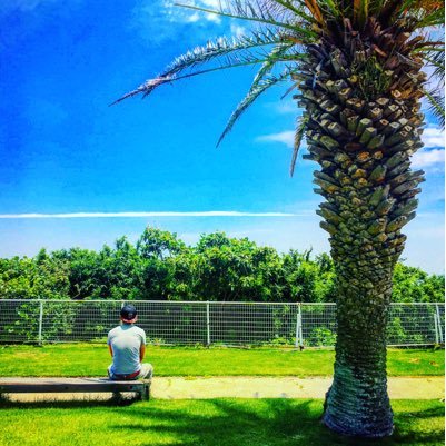 ca_li01's profile picture. プログラミング勉強中 趣味:snowboard surfing camp レコード収集 主にgangsta rap