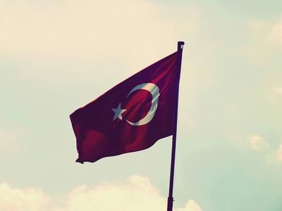 starscuore's profile picture. 