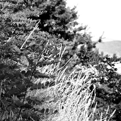 LyamRayxxxxx's profile picture. 