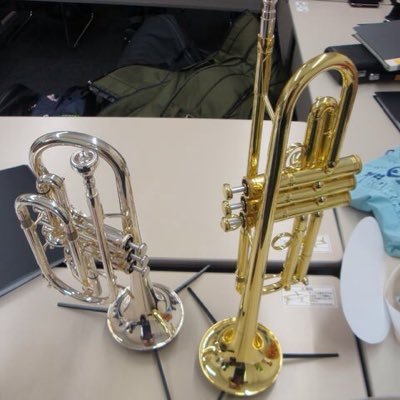 dka_tp's profile picture. こんにちは。写真とトランペットは趣味で本業はWeb系エンジニアです。