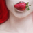 Edyna_cz's profile image