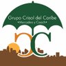 grupocrisoll's profile picture. 