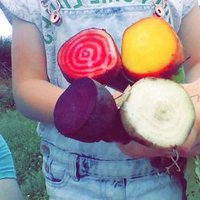 Mooncoin Beetroot(@mooncoinbeetro1) 's Twitter Profile Photo