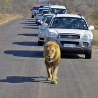 القناص (@saaa_n2016) 's Twitter Profile Photo