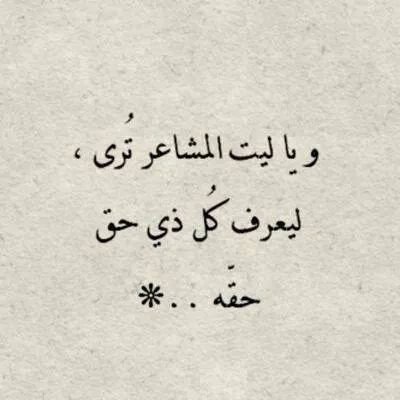 AAlrfouh's profile picture. 