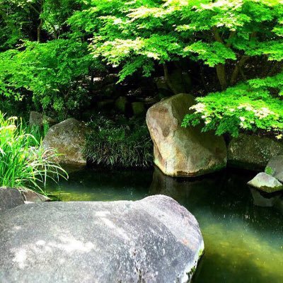 自由/勉強/RADWIMPS/BUMP OF CHICKEN/SEKAI NO OWARI/GReeeeN/米津玄師/平井大/ツイートはほとんど独り言//モンスト rank200↑ 無課金でまったりやってる/白猫初心者/