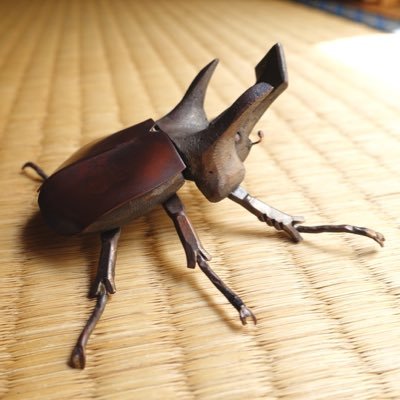 まだ夏さんのプロフィール画像