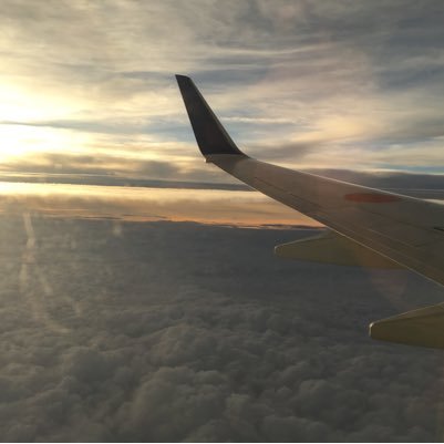 yyoosshhiikkii_'s profile picture. 