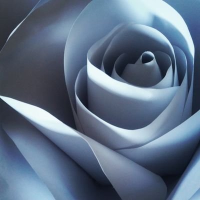 idopaperflowers's profile picture. I hand make beautiful paper flowers for any occassion, home or fashion. Paper flower backdrops, arches, shop window displays etc.