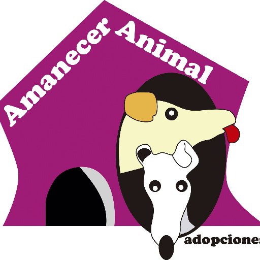 Asociación Protectora de Animales AMANECER ANIMAL adopciones
Para + información: susana.adoptalo@gmail.com

https://t.co/8Rw1MvoA5B