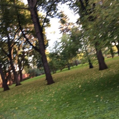 sagitovic's profile picture. 