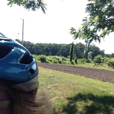 ln922's profile picture. elementary math specialist