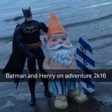 BatsandHenrys's profile picture. Surfing waves and protecting Gotham one day at a time