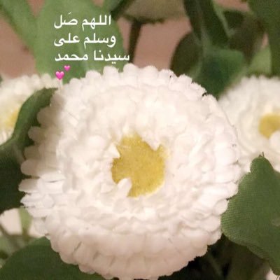 mroahmohmmed's profile picture. 
