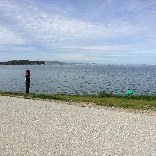 IdanBenaim's profile picture. 