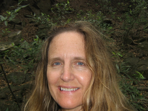 AnnMcWilliam's profile picture. Music~elec, spirituality, Angels, fairies, the environment, animals, unicorns, dolphins, whales, cats, flowers, daily living, inspiration, meditation, Artist*