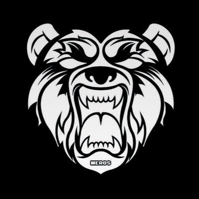 Commentaries, Video Games, Vlogs, anything you would ever want all in one channel.