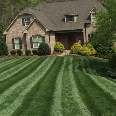 Lawn Care Specialist