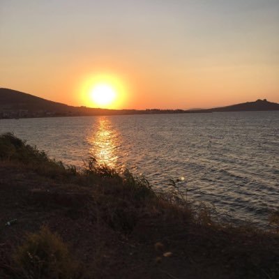 newnowhow's profile picture. Life is like a box of chocolates...