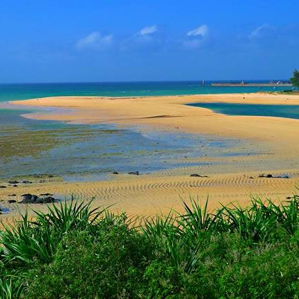 ThuyYenraven's profile picture. 