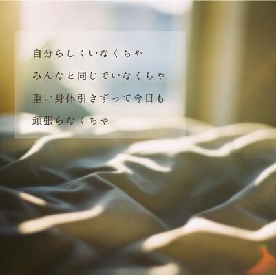 せかねこ/back number/いきものがかり/漫画