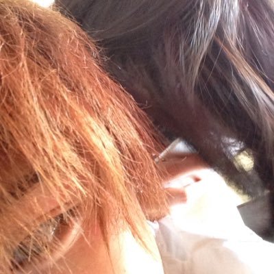 bayashi0825's profile picture. 打ち歴もうすぐ２年/元下町界隈/Team SAW/工作組/xbox/尊師は神楽さん/Ealf Clan/関西よくいく/元岩四生です♡/無言フォロー114514 and 許して。/名前は尊師から