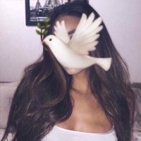 G✨. (@dhehshsha) 's Twitter Profile Photo