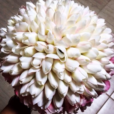 3isha_n5's profile picture. اللهم بحجم جمآل جنتكّ جمل حيآتي ومستقبلي