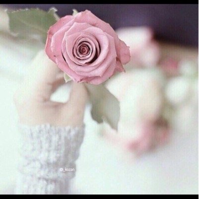 lona202's profile picture. 